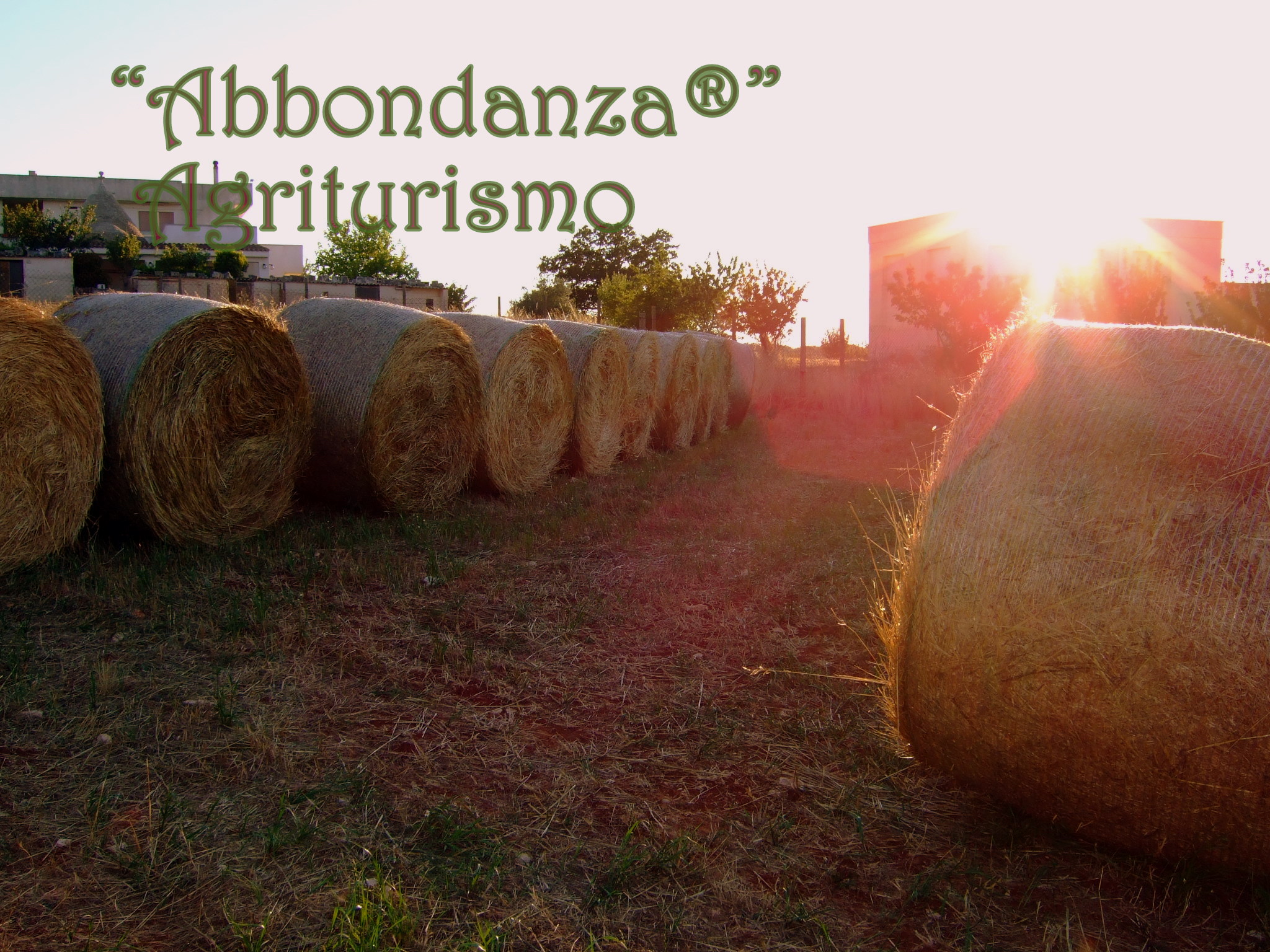 Il Fieno - Abbondanza®